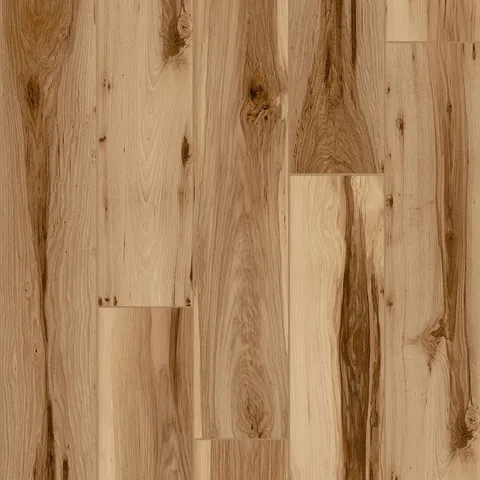 Jamestown Hickory