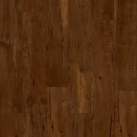 Hawkinsville Maple