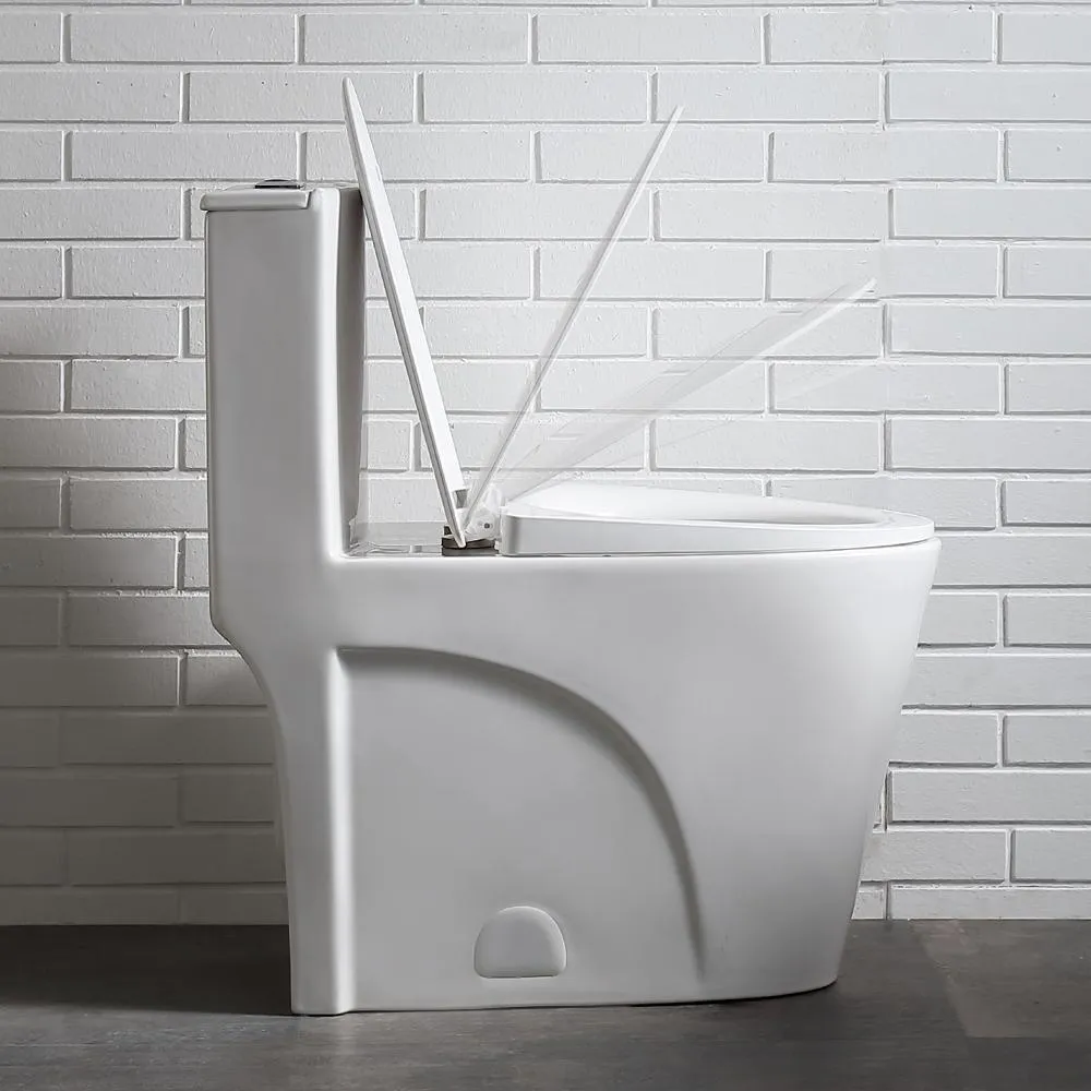 Buxton 1-Piece 1.6 GPF/1.1 GPF Dual Flush Elongated Toilet in White, photo 9 of 11