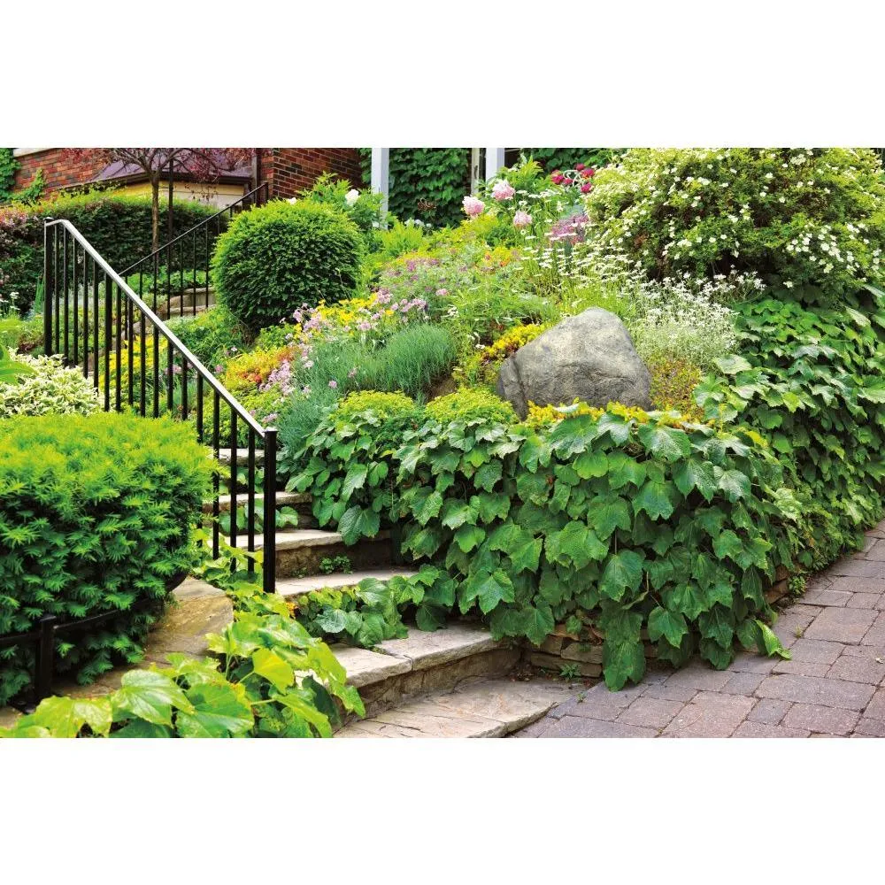 28 in. x 19 in. x 20 in. Gray Jumbo Landscape Rock, photo 7 of 9