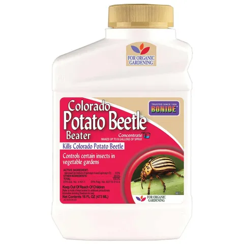 Colorado Potato Beetle Beater Organic Liquid Concentrate Insect Killer