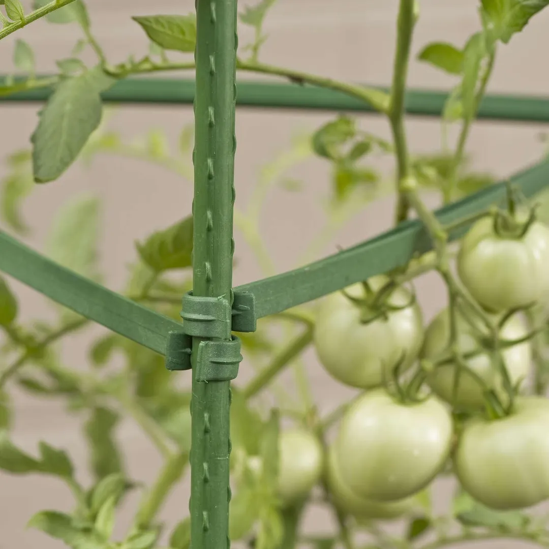 Gardener's Blue Ribbon 60 in. H X 12 in. W Green Steel Tomato Cage, photo 4 of 5