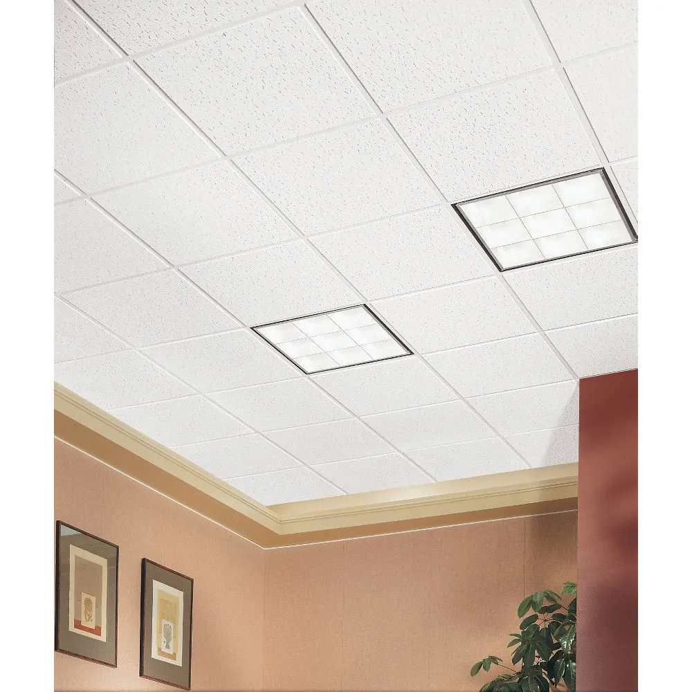 Armstrong Ceilings 24-in x 24-in Fissured White Mineral Fiber Drop Acoustic Ceiling Tiles, Tegular Edge, 16-Pack (64 sq ft), photo 3 of 7