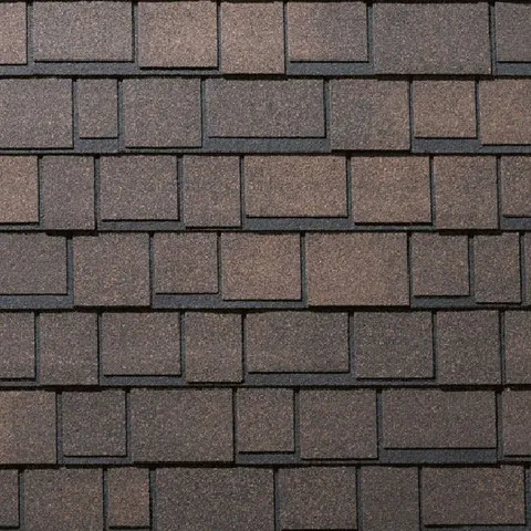 Autumn Brown