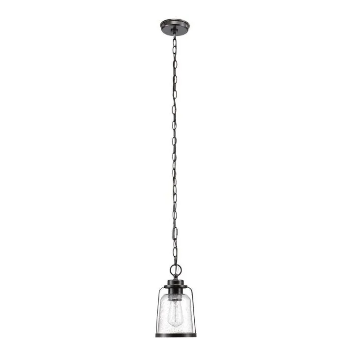 Globe Electric Roth 1-Light Oil Rubbed Bronze Outdoor Indoor Hanging Pendant, photo 4 of 6