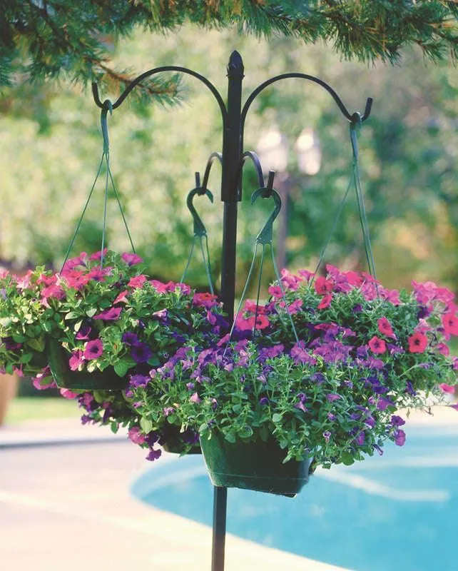 Panacea Black Wrought Iron 84 in. H 4 Way Crook w/Finial Plant Hook 1 pk, photo 2 of 2