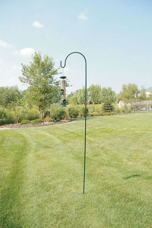 Audubon Green Steel 88 in. H Single Crook Plant Hanger 1 pk, photo 2 of 2
