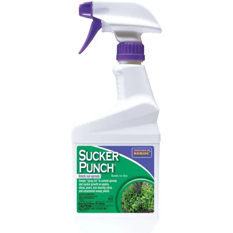 Sucker Punch Ready-to-Use Sprout & Sucker Control, 16 oz