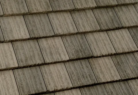Roofing Products 11-3/8 × 17 in Eaglelite Ponderosa Ridge Tile