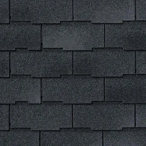 Black Shadow