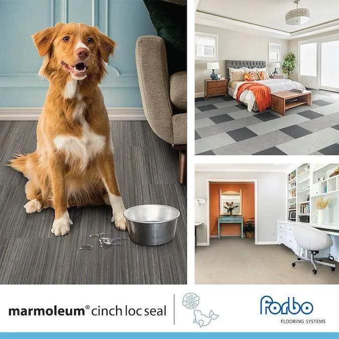 Forbo Flooring Systems Marmoleum Cinch Loc Seal Honeysuckle 10-mm T x 12-in W x 36-in L Waterproof Tile Look Laminate Flooring (20.34-sq ft / Carton), photo 4 of 6