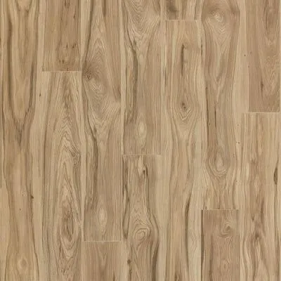 Natural Park Hickory