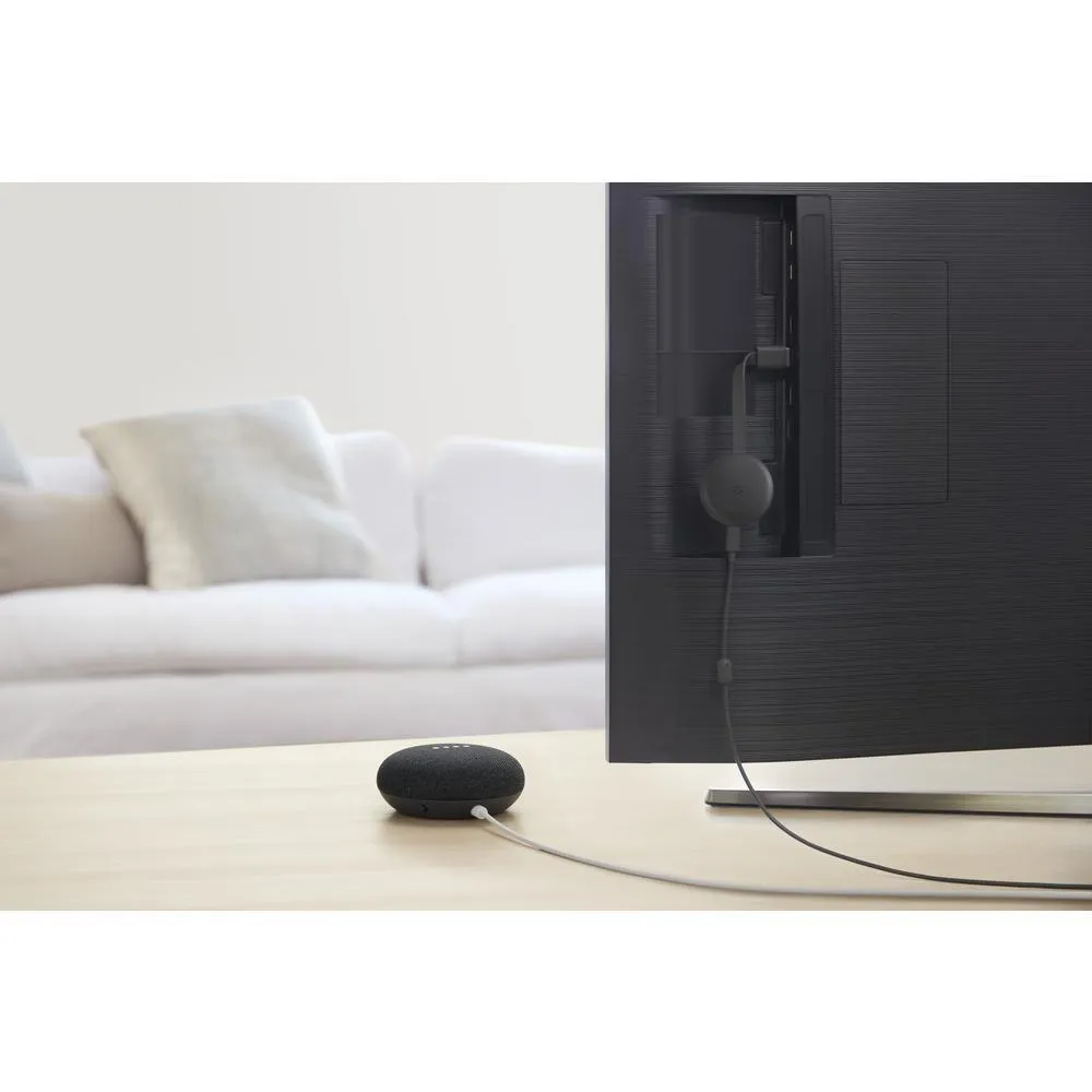 Home Mini Charcoal and Chromecast, photo 4 of 6