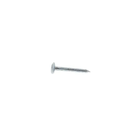 1-1/2 in. Hot-Dipped Galvanized Roofing Nails (5 lb)