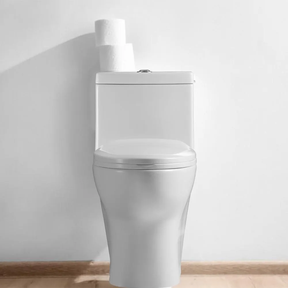 Dual Flush 1-piece 1.28/1.6 GPF Elongated One Piece Toilet with Soft Closing Seat, photo 9 of 9