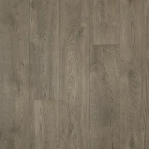 Stone Bay Oak