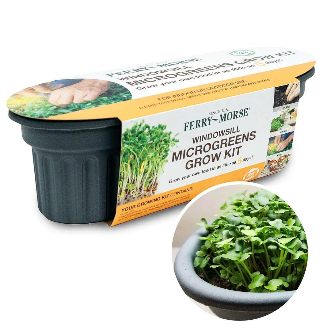 Ferry-Morse 4 in. H X 16 in. W X 4 in. L Windowsill Microgreens Grow Kit 1 pk, photo 4 of 5