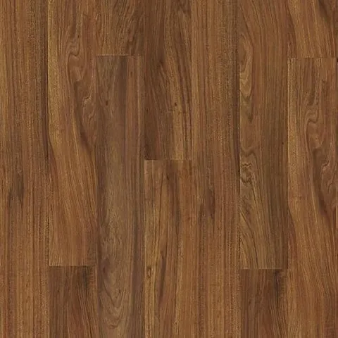 Fiji Acacia