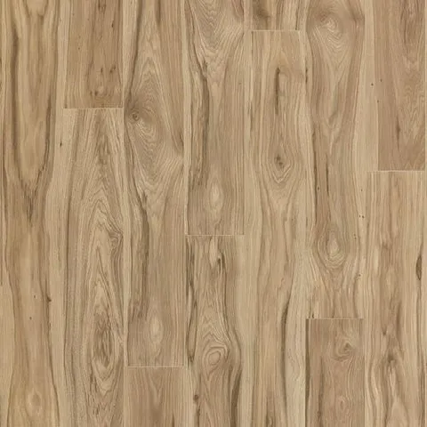 Natural Park Hickory