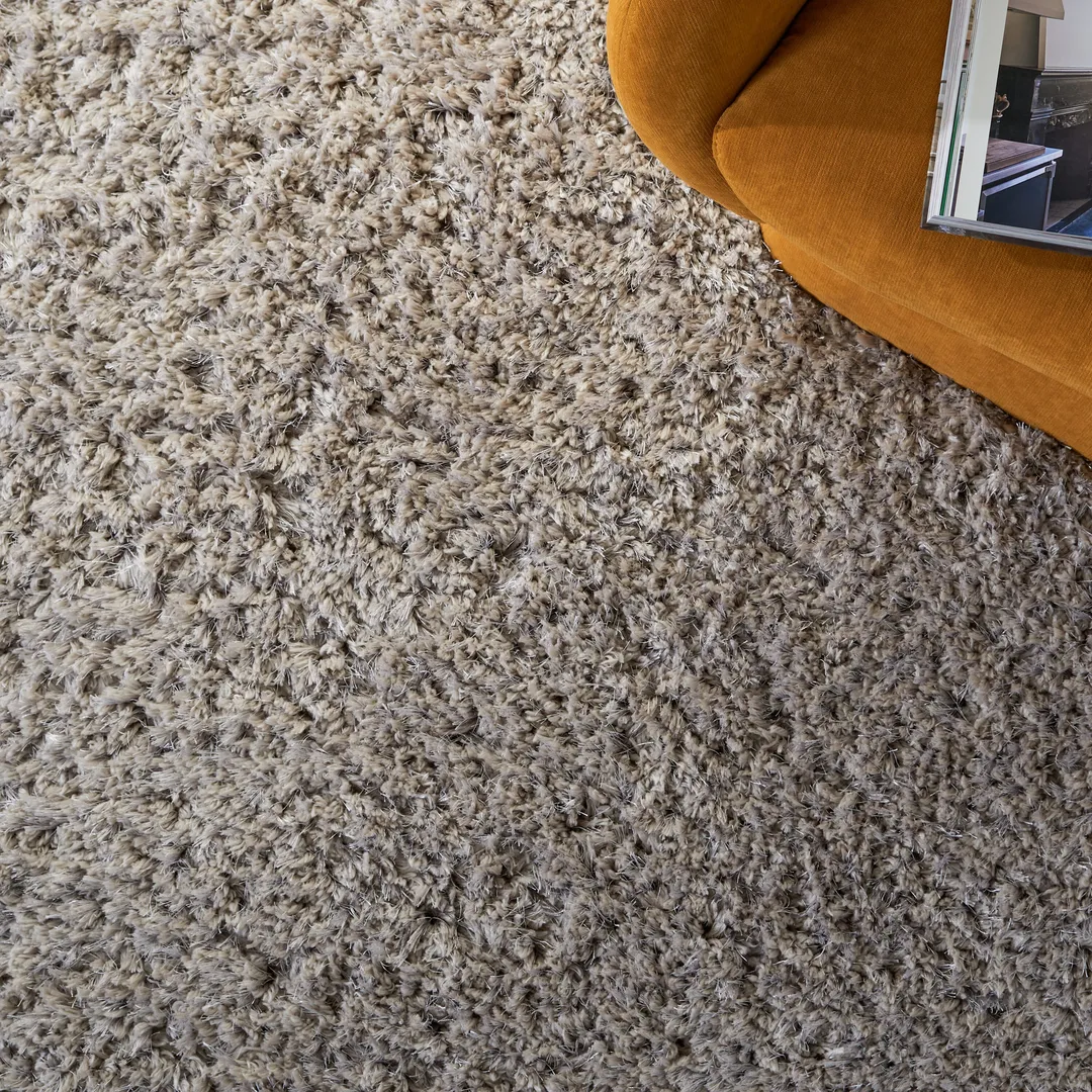 Safavieh Florence Shag Area Rug, 4 x 6, Silver, Handcrafted Indoor, photo 6 of 8