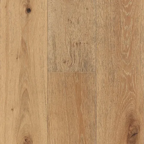 Serene Neutral