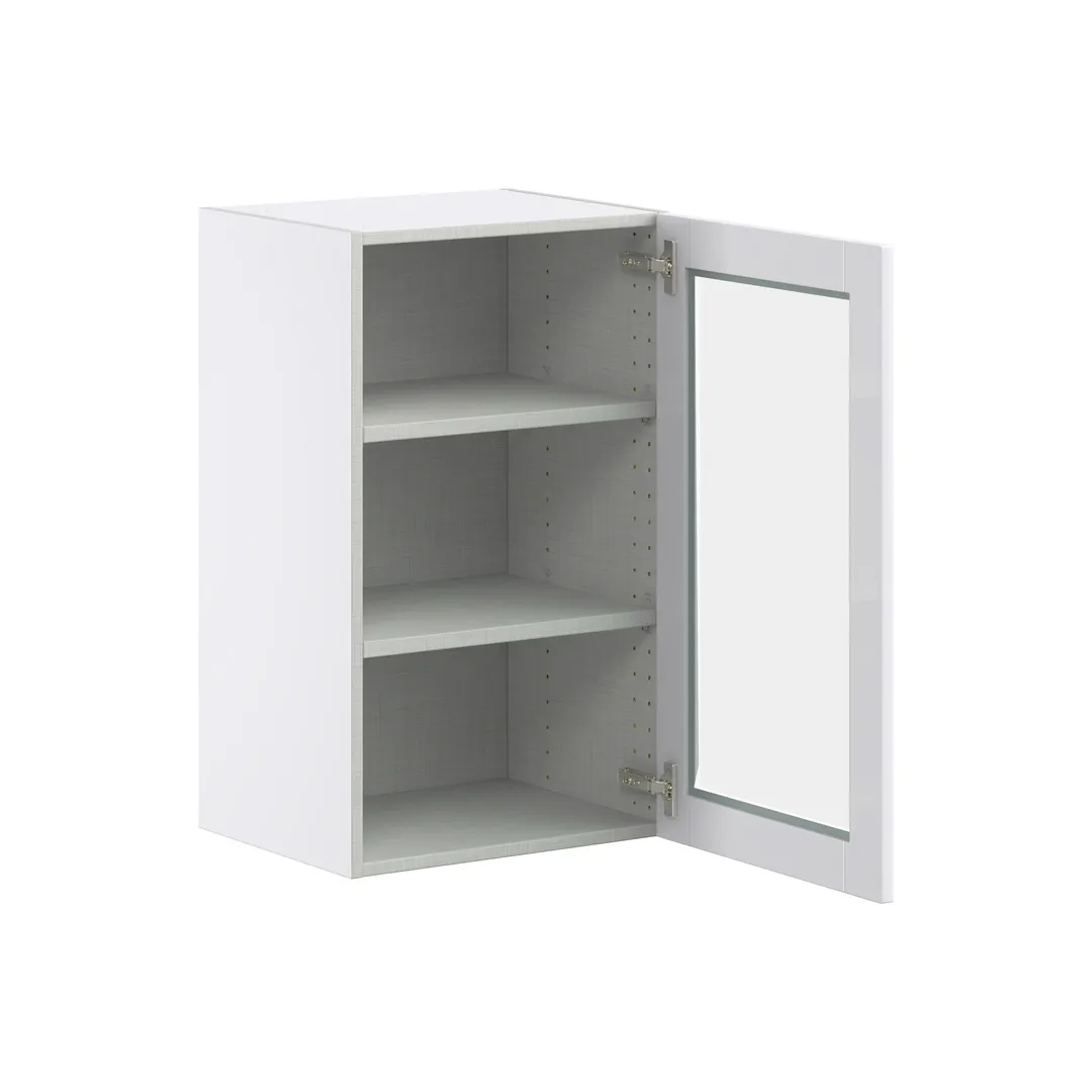 Hugo&Borg Rosemont 18-in W x 30-in H x 14-in D Glacier White Wall Fully Assembled Cabinet (Glass Panel Shaker Door Style), photo 7 of 14