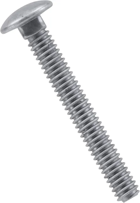 Hot-Dipped Galvanized 3/8 × 1 in Carriage Bolts (100-Pack)