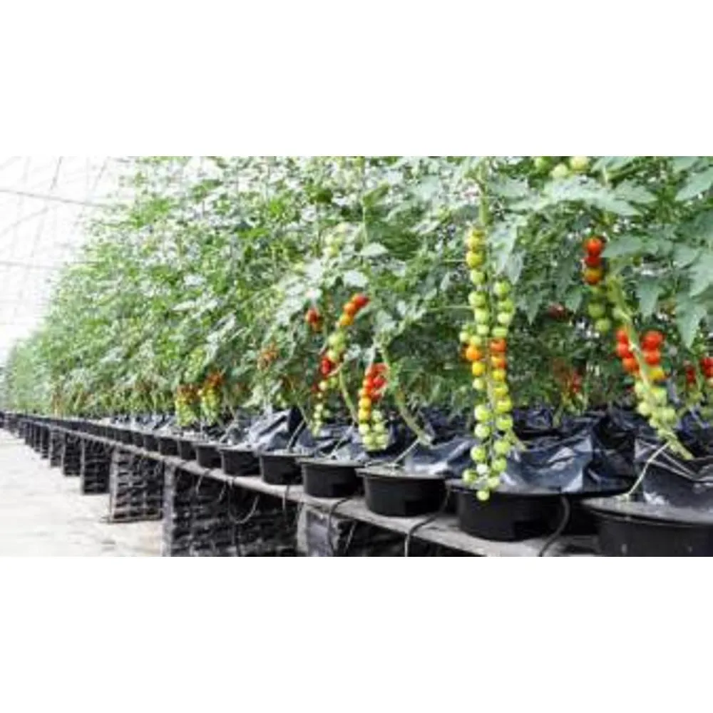 SOHUM Living Soil Premium Grade Potting Mix Just Add Water Organic Potting Soil Plant Food, photo 4 of 4