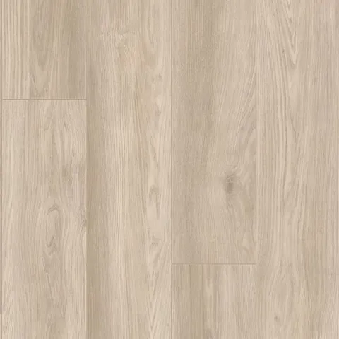 Lafayette Chestnut