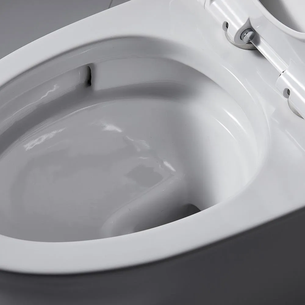 1-Piece 1.28 GPF Dual Flush High Efficiency Elongated Toilet in White, Seat Included, photo 7 of 7