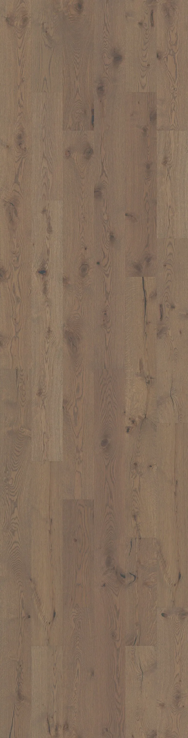 Shaw Williston Oak Dublin White oak 1/2-in T x 7-in W Water Resistant Wirebrushed Engineered Hardwood Flooring ( 23.58-sq ft / Carton ), photo 8 of 8