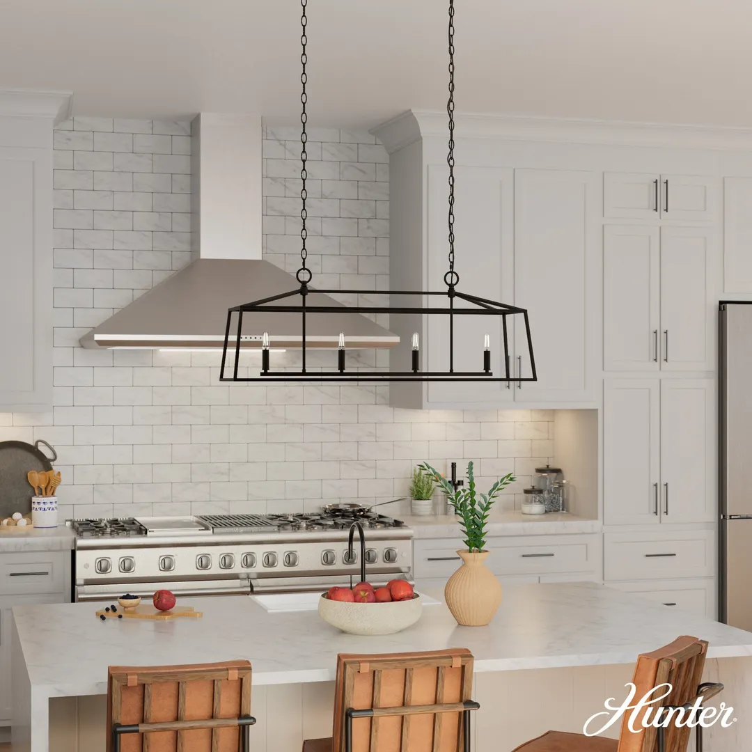 Hunter Fair Oaks 4-Light Matte Black TransitionalCage Chandelier, photo 3 of 11