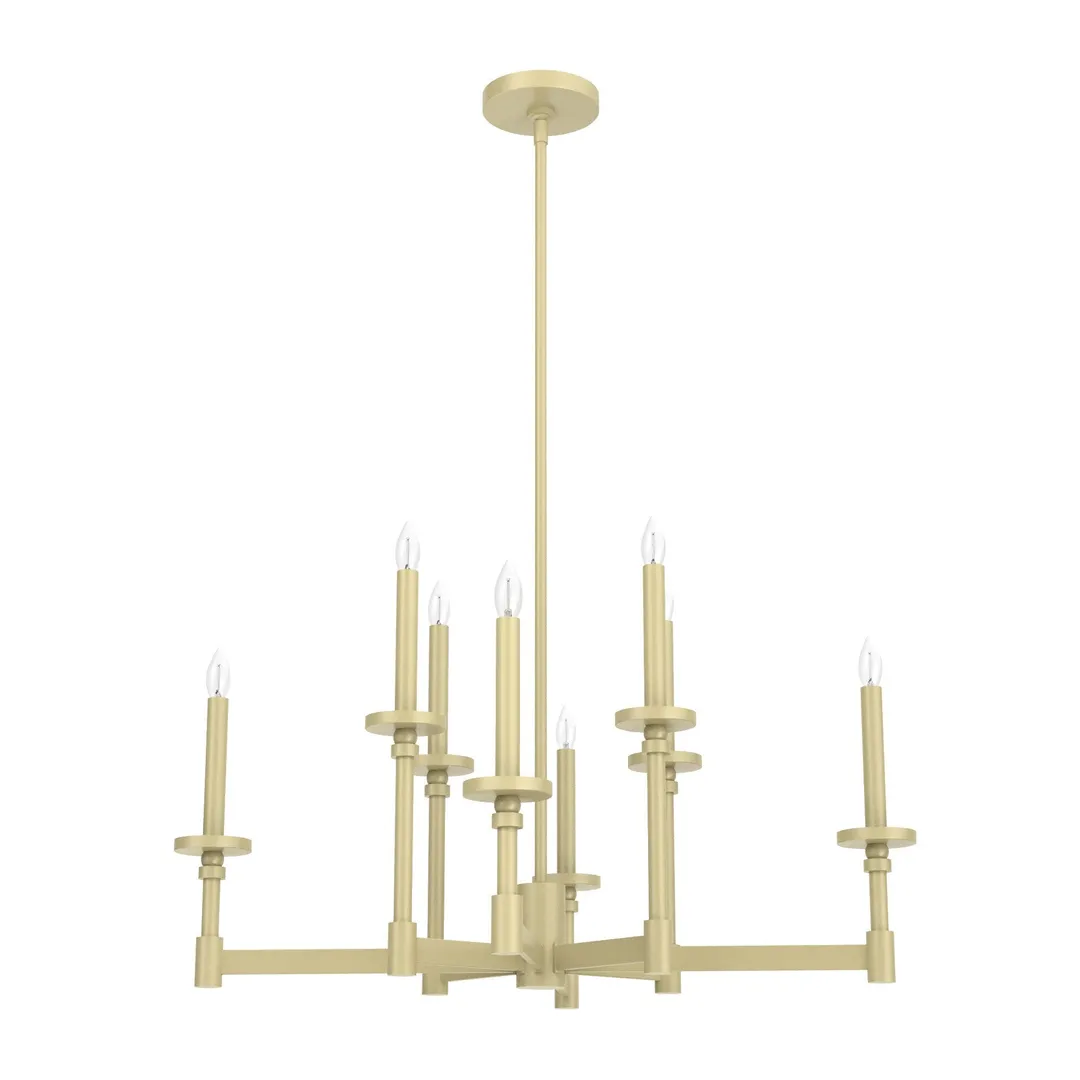 Hunter Briargrove 8-Light Matte Vintage Led Chandelier, photo 2 of 11