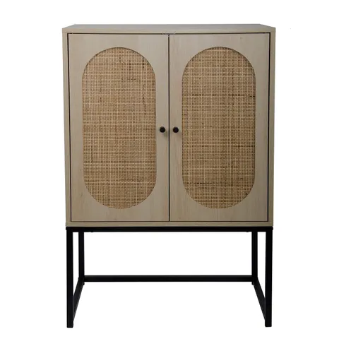 Traditional Wood Accent Chest with 2 Doors