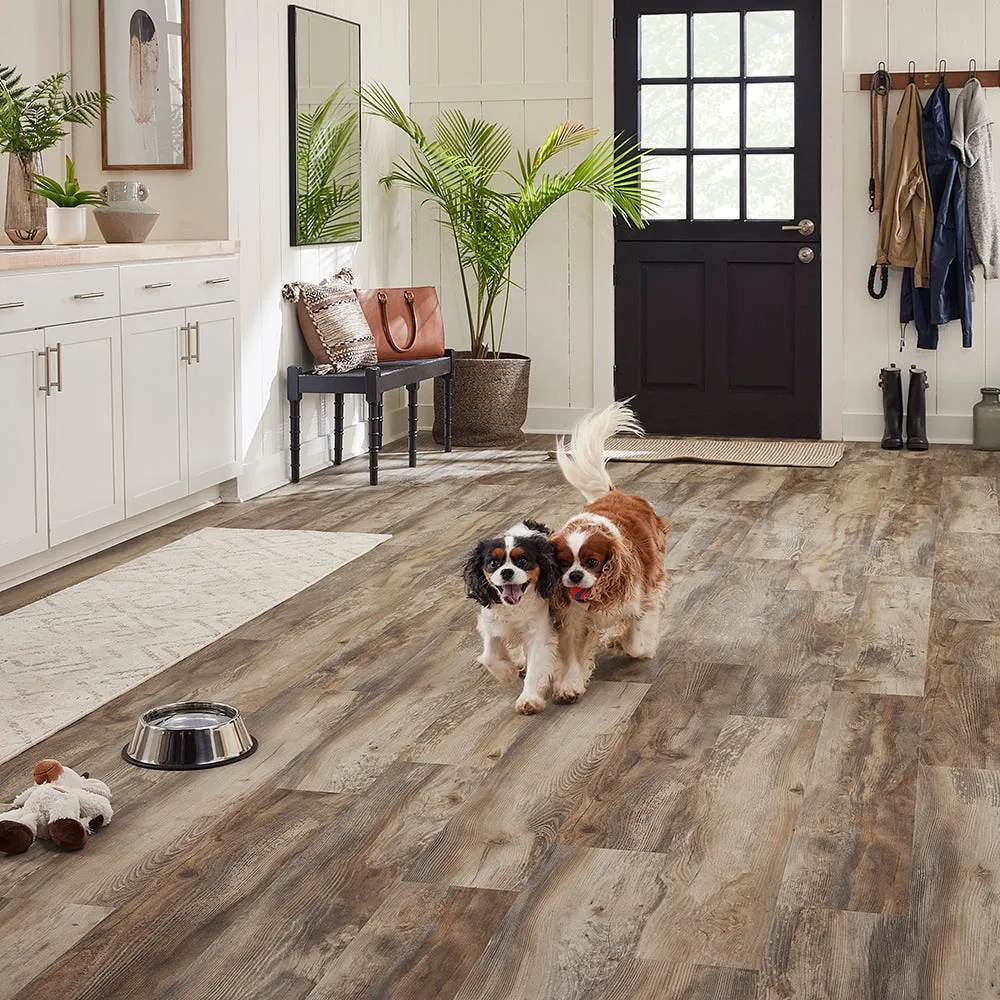 Pergo Pro+ with WetProtect 10-mm 7.48-in W x 47.24-in L Waterproof Floating / click-lock Laminate Flooring, photo 2 of 40