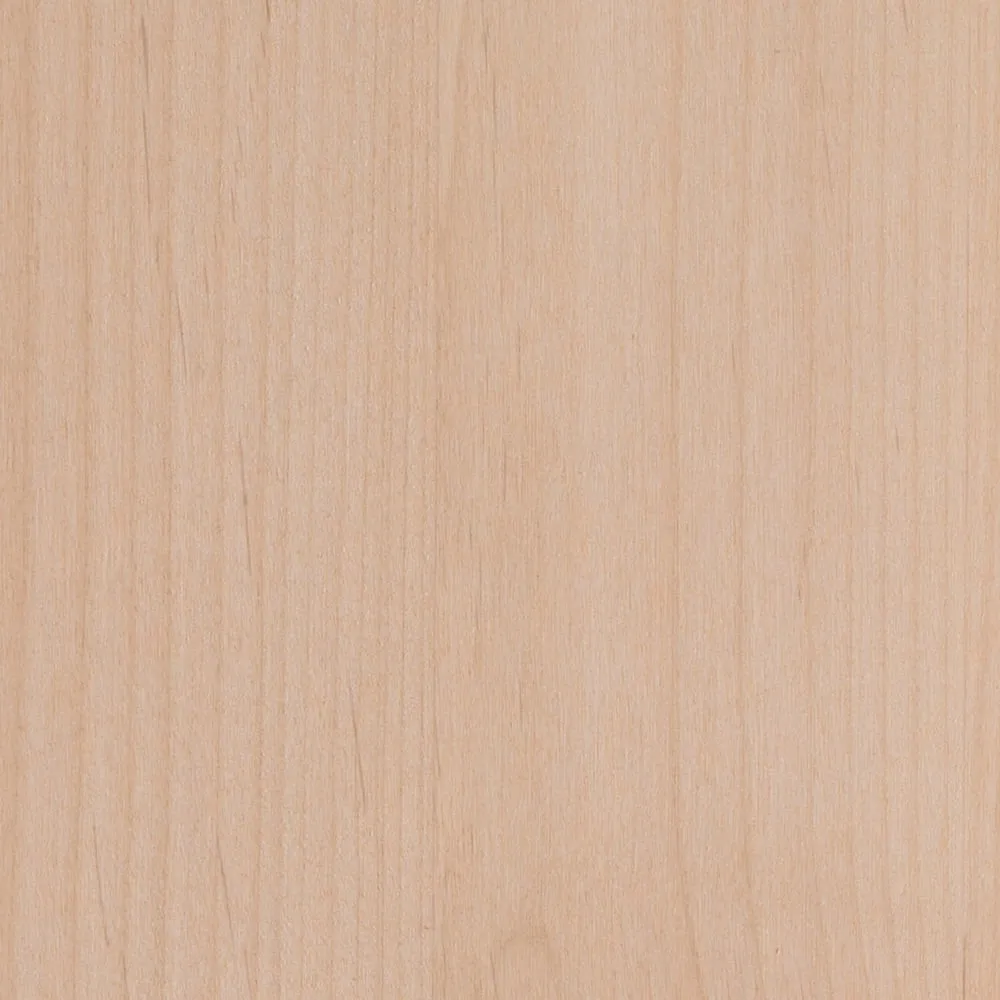 Masonite Traditional 42-in x 84-in Natural 5-Panel Unfinished Knotty Alder Wood Single Barn Door, photo 3 of 6