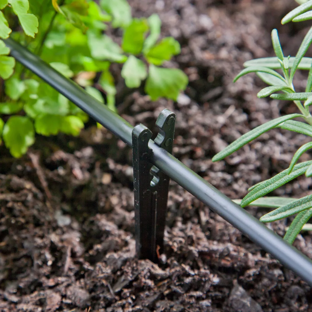 Raindrip Drip Irrigation Tubing Support Stakes for 1/4 in. Tubing, 3.5 in. Height, 10-Pack, photo 3 of 5