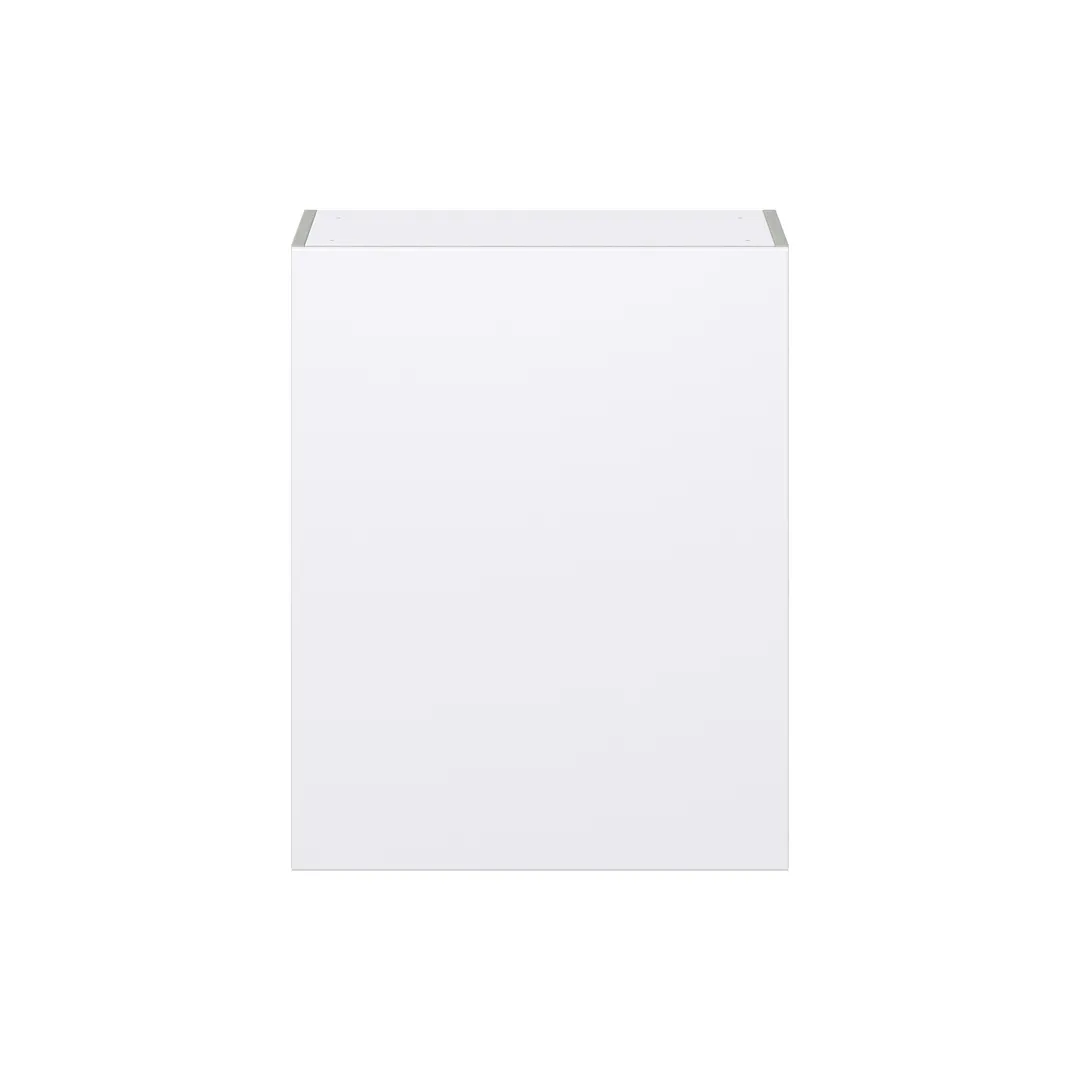 Hugo&Borg Lasalle 24-in W x 30-in H x 14-in D Bright White Slab Wall Fully Assembled Cabinet (Flat Panel Slab Door Style), photo 7 of 13