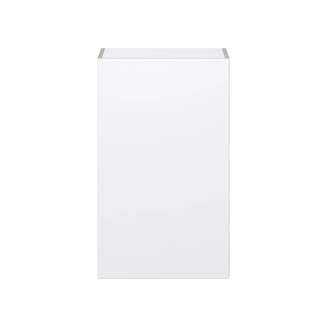 Hugo&Borg Lasalle 21-in W x 35-in H x 14-in D Bright White Slab Wall Fully Assembled Cabinet (Flat Panel Slab Door Style), photo 7 of 13