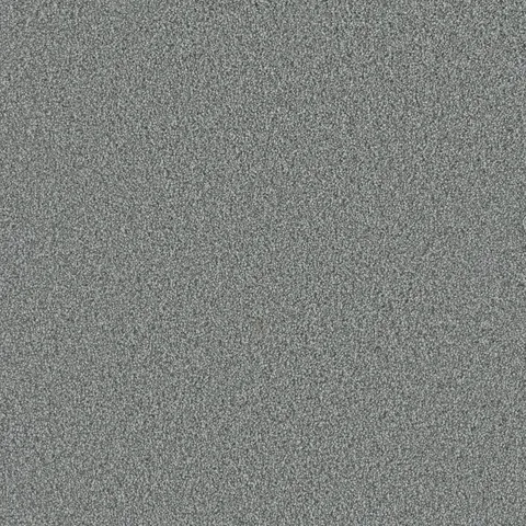 Raging Rapids I Eddy Gray 37-oz sq yard Solution-dyed polyester Textured Indoor Carpet