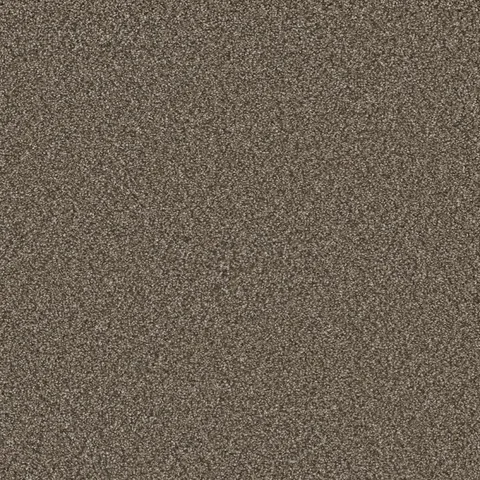 Durango Delight III Basin Creek Brown 54-oz sq yard Solution-dyed polyester Textured Indoor Carpet