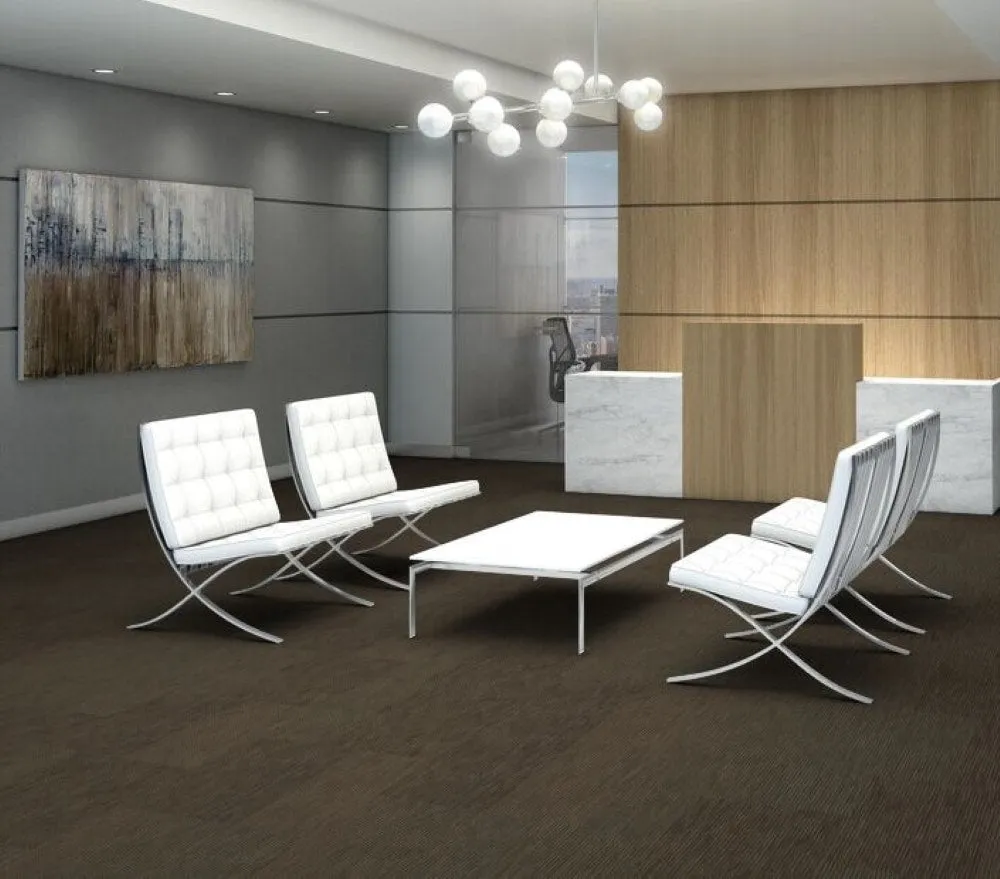 Shaw All Business 24-in x 24-in Reported Brown Commercial Adhesive Indoor Carpet Tile ( 79.99-sq ft ), photo 5 of 12