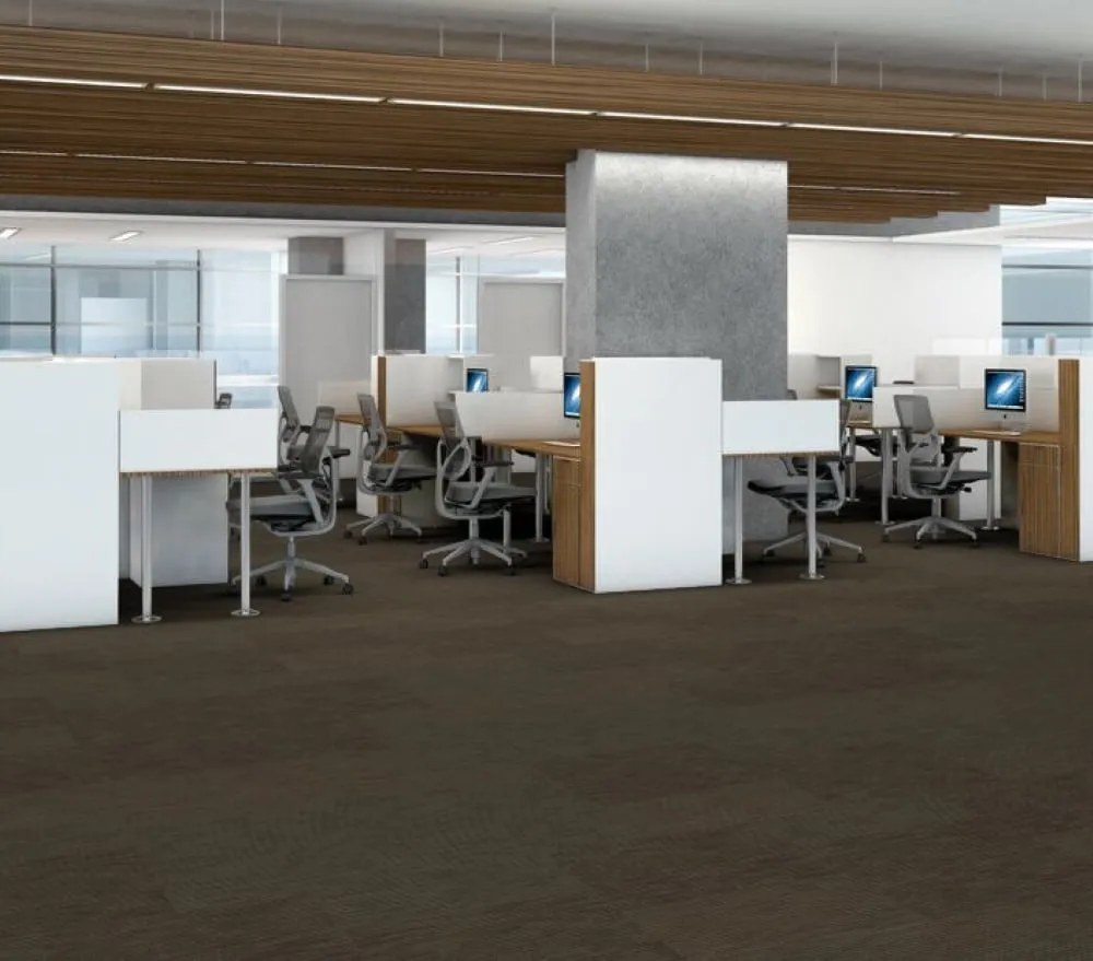 Shaw All Business 24-in x 24-in Reported Brown Commercial Adhesive Indoor Carpet Tile ( 79.99-sq ft ), photo 6 of 12
