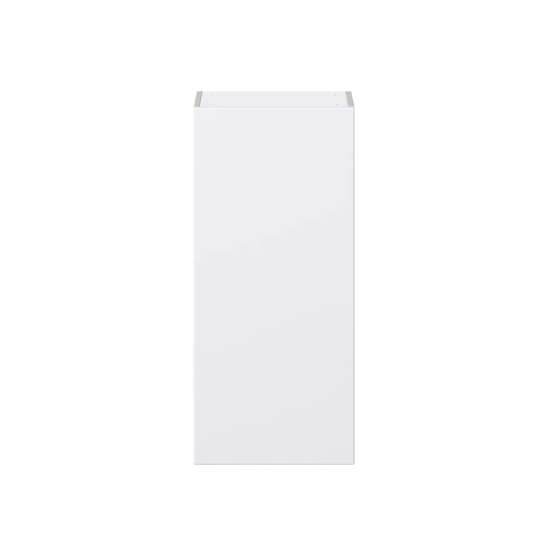 Hugo&Borg Lasalle 18-in W x 40-in H x 14-in D Bright White Slab Wall Fully Assembled Cabinet (Flat Panel Slab Door Style), photo 6 of 13