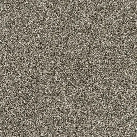 Fur Real III Bernard Tan 65-oz sq yard Solution-dyed polyester Textured Indoor Carpet
