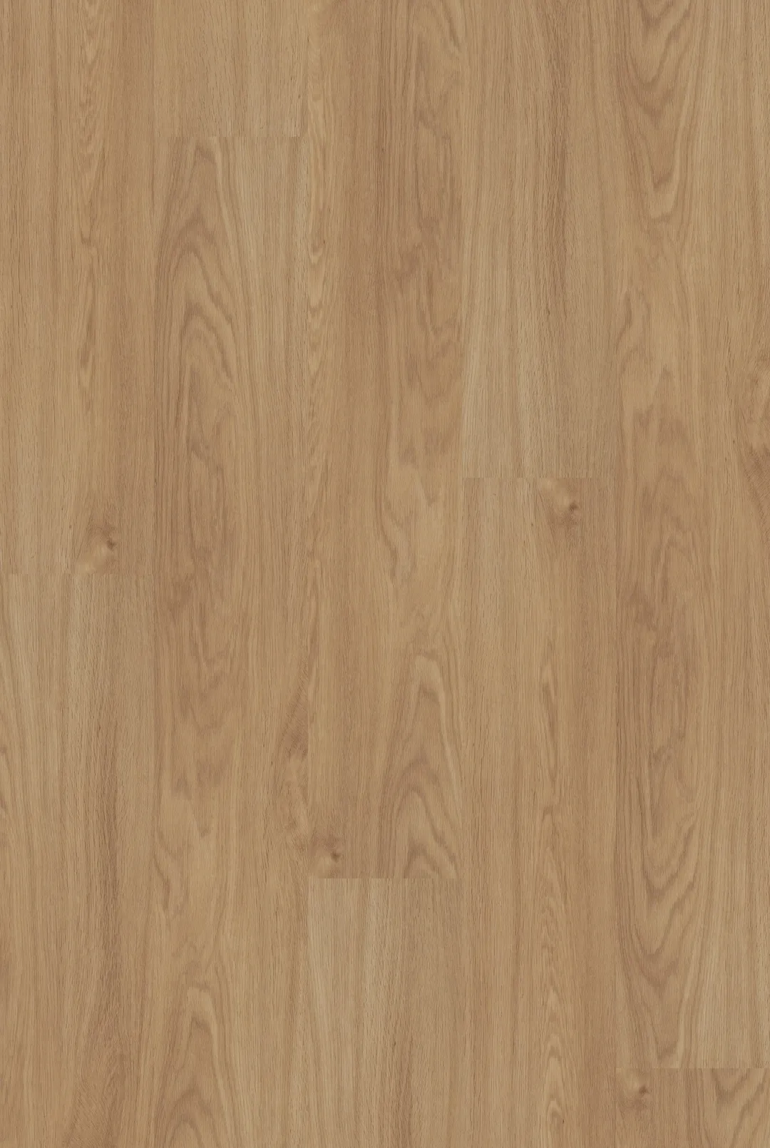 Shaw Boundless 8 Breezy Brown 8-mil x 7-in W x 48-in L Waterproof Glue Down Luxury Vinyl Plank Flooring (34.98-sq ft/ Carton), photo 6 of 9