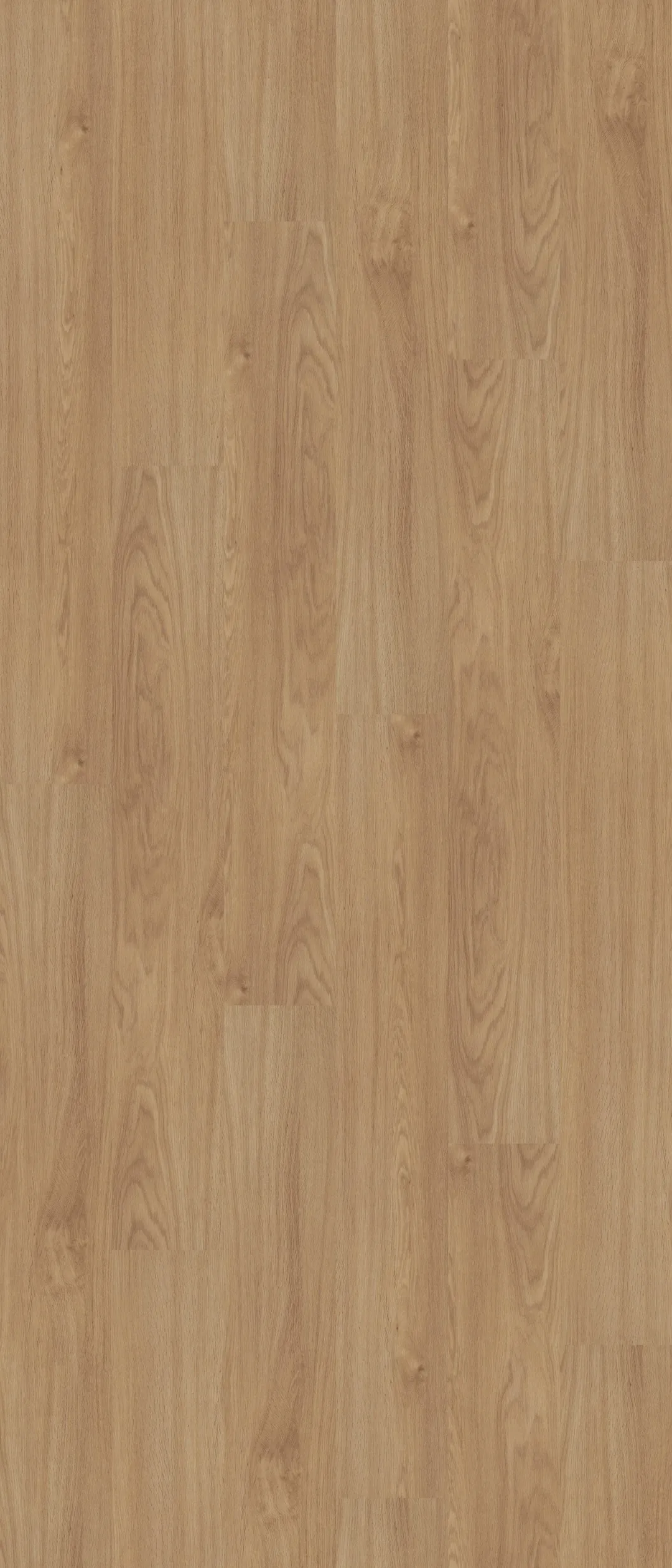 Shaw Boundless 8 Breezy Brown 8-mil x 7-in W x 48-in L Waterproof Glue Down Luxury Vinyl Plank Flooring (34.98-sq ft/ Carton), photo 3 of 9