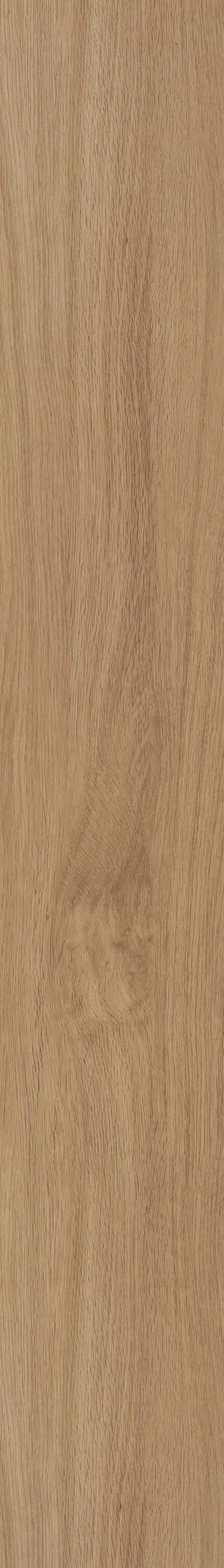 Shaw Boundless 8 Breezy Brown 8-mil x 7-in W x 48-in L Waterproof Glue Down Luxury Vinyl Plank Flooring (34.98-sq ft/ Carton), photo 5 of 9