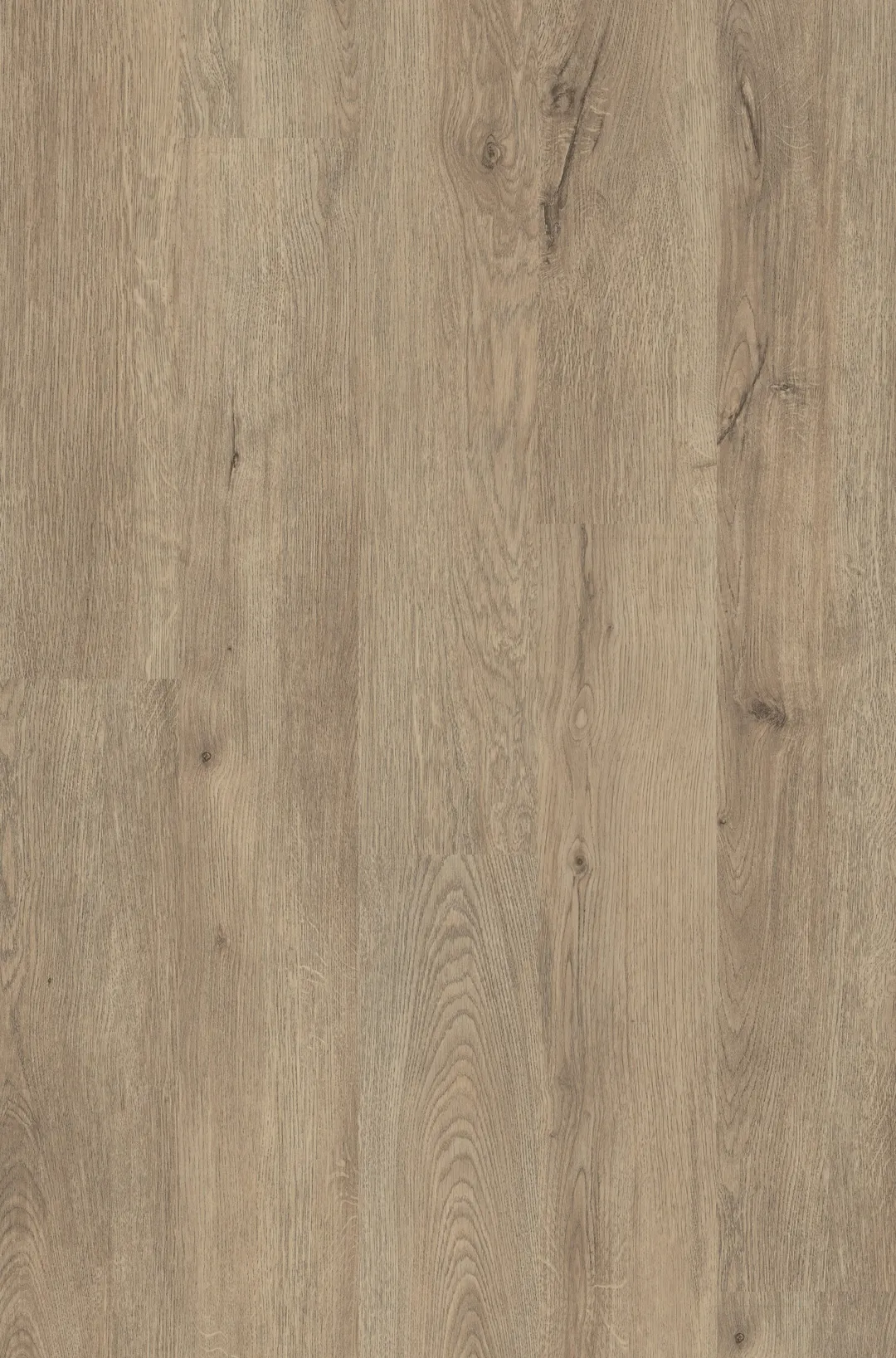 Shaw Perennial Dublin Brown 6-mil x 6-in W x 48-in L Waterproof Glue Down Luxury Vinyl Plank Flooring (53.93-sq ft/ Carton), photo 7 of 8