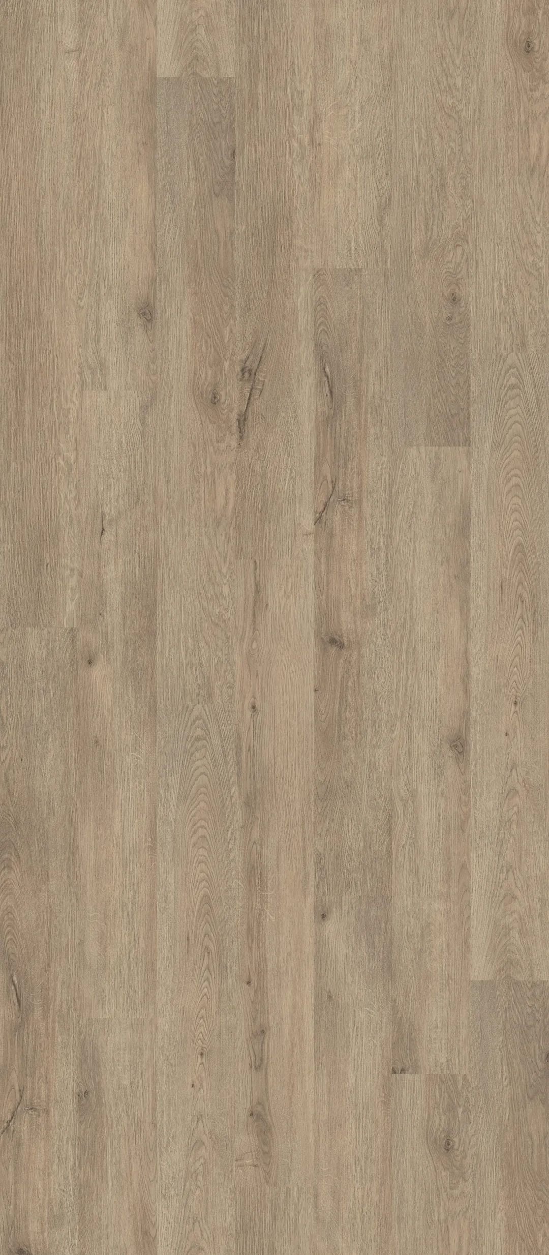Shaw Perennial Dublin Brown 6-mil x 6-in W x 48-in L Waterproof Glue Down Luxury Vinyl Plank Flooring (53.93-sq ft/ Carton), photo 3 of 8